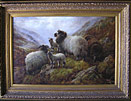 Robert Watson - Sheep painting