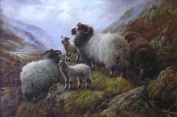 Robert Watson - Sheep in Highlands