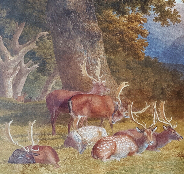 Robert Hills Deer painting