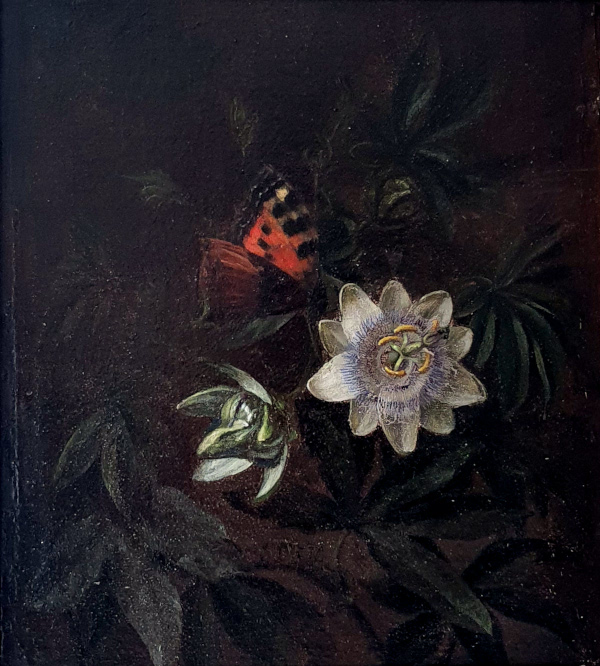 Unknown artist, oil on panel, Passionflower