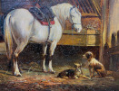 Barn with Horses & Dogs.