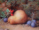 William Hough watercolour for sale - Pear, plums and rose hip still life